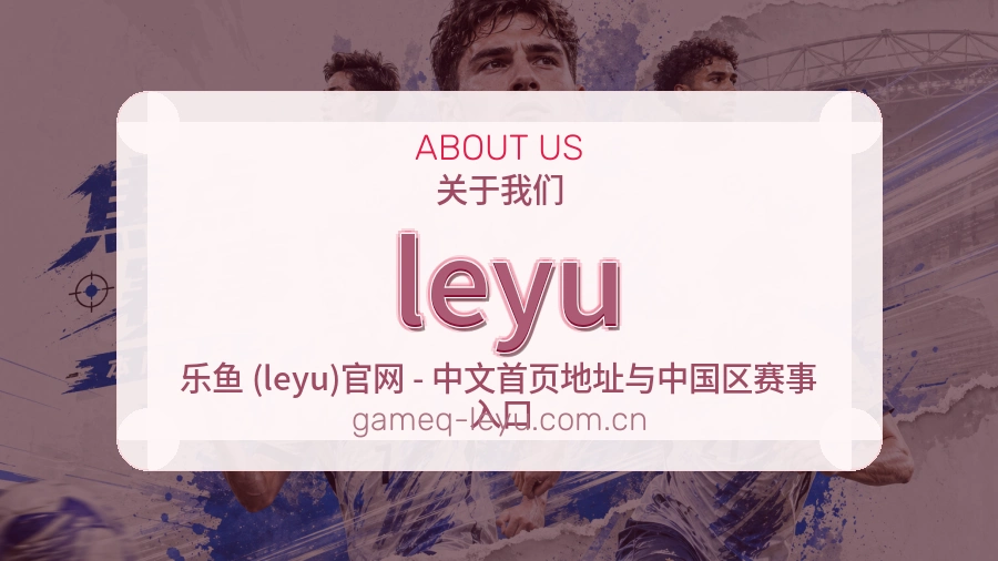leyu赛前赛后资料说明